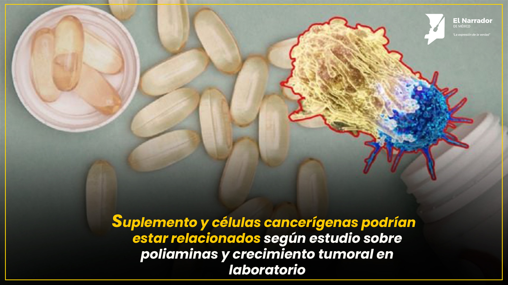 ESTUDIO ALERTA SOBRE POSIBLES EFECTOS DE SUPLEMENTOS EN EL CÁNCER