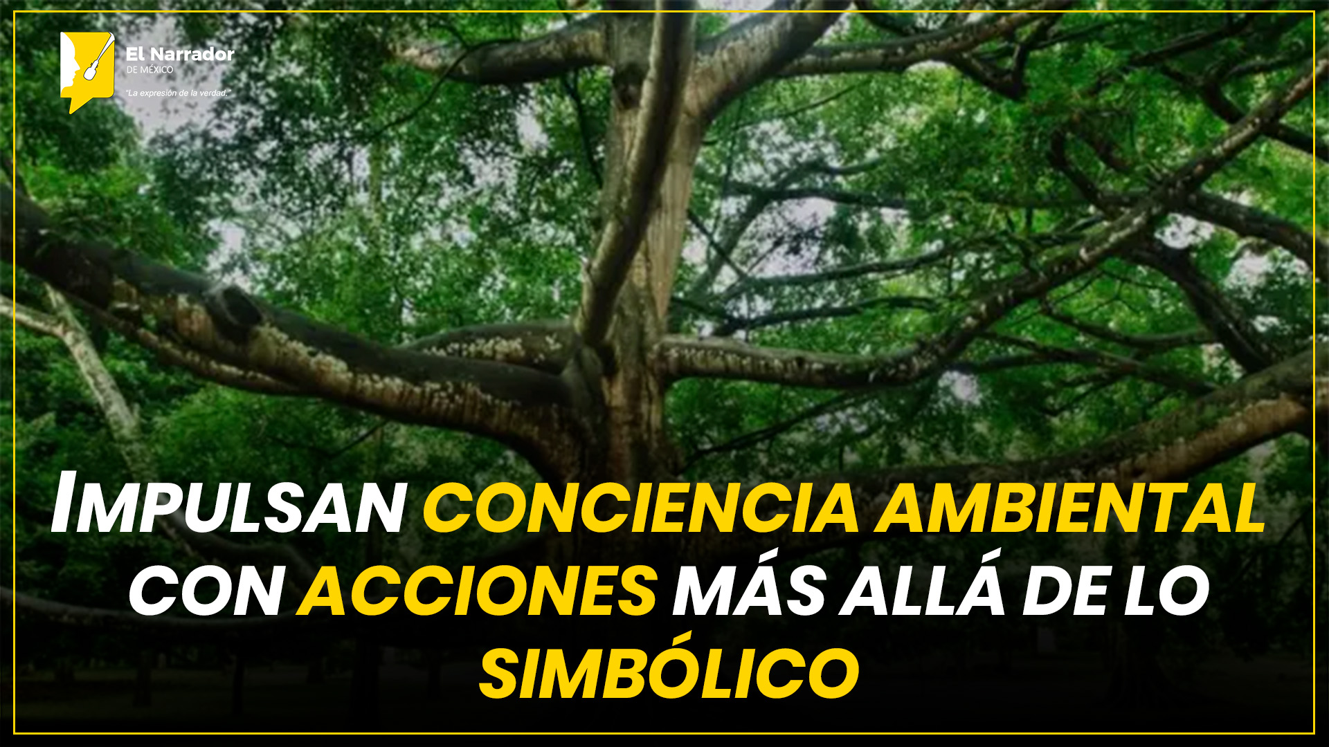 IMPULSAN CONCIENCIA AMBIENTAL CON ACCIONES MÁS ALLÁ DE LO SIMBÓLICO