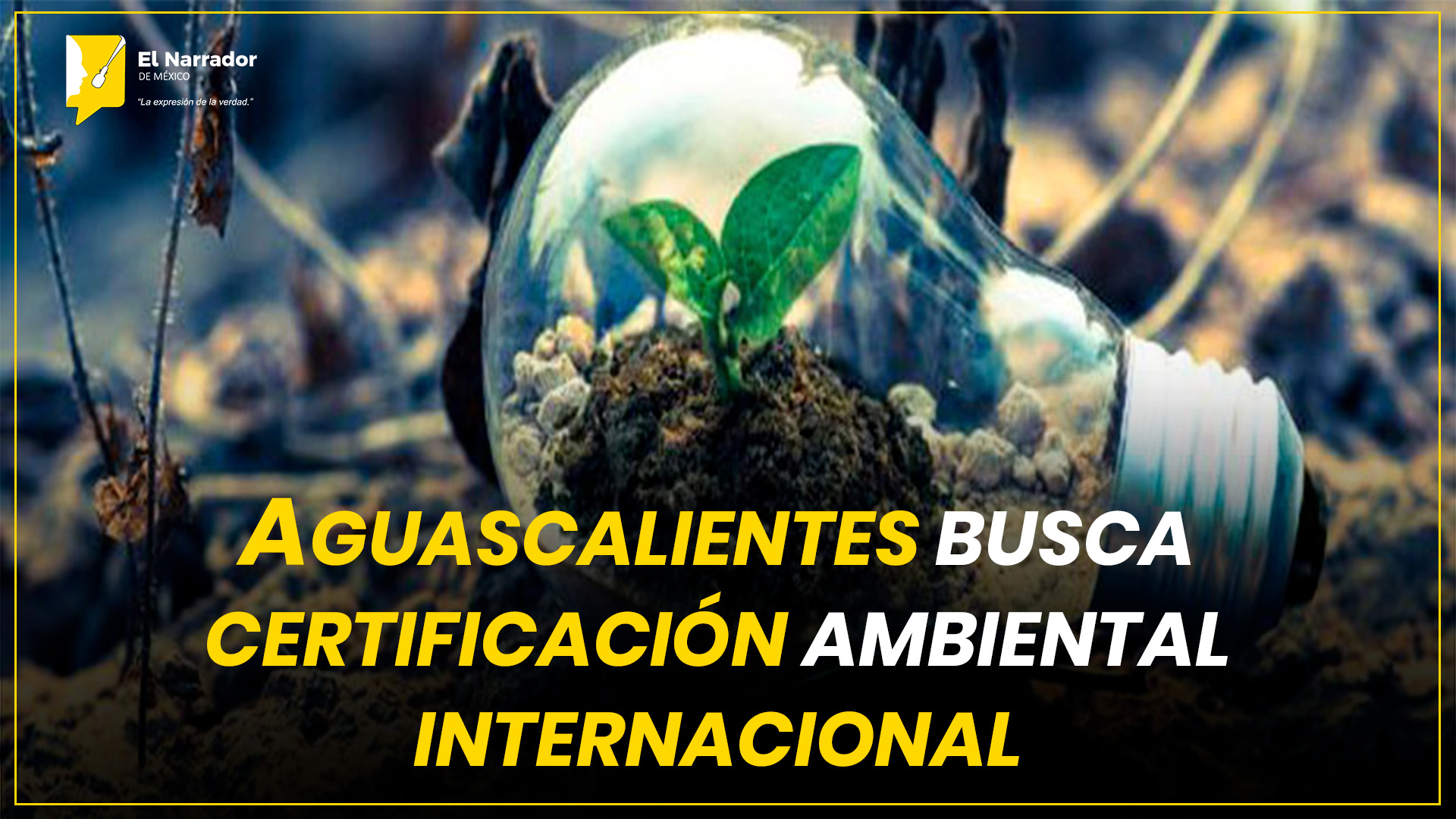 AGUASCALIENTES BUSCA CERTIFICACIÓN AMBIENTAL INTERNACIONAL