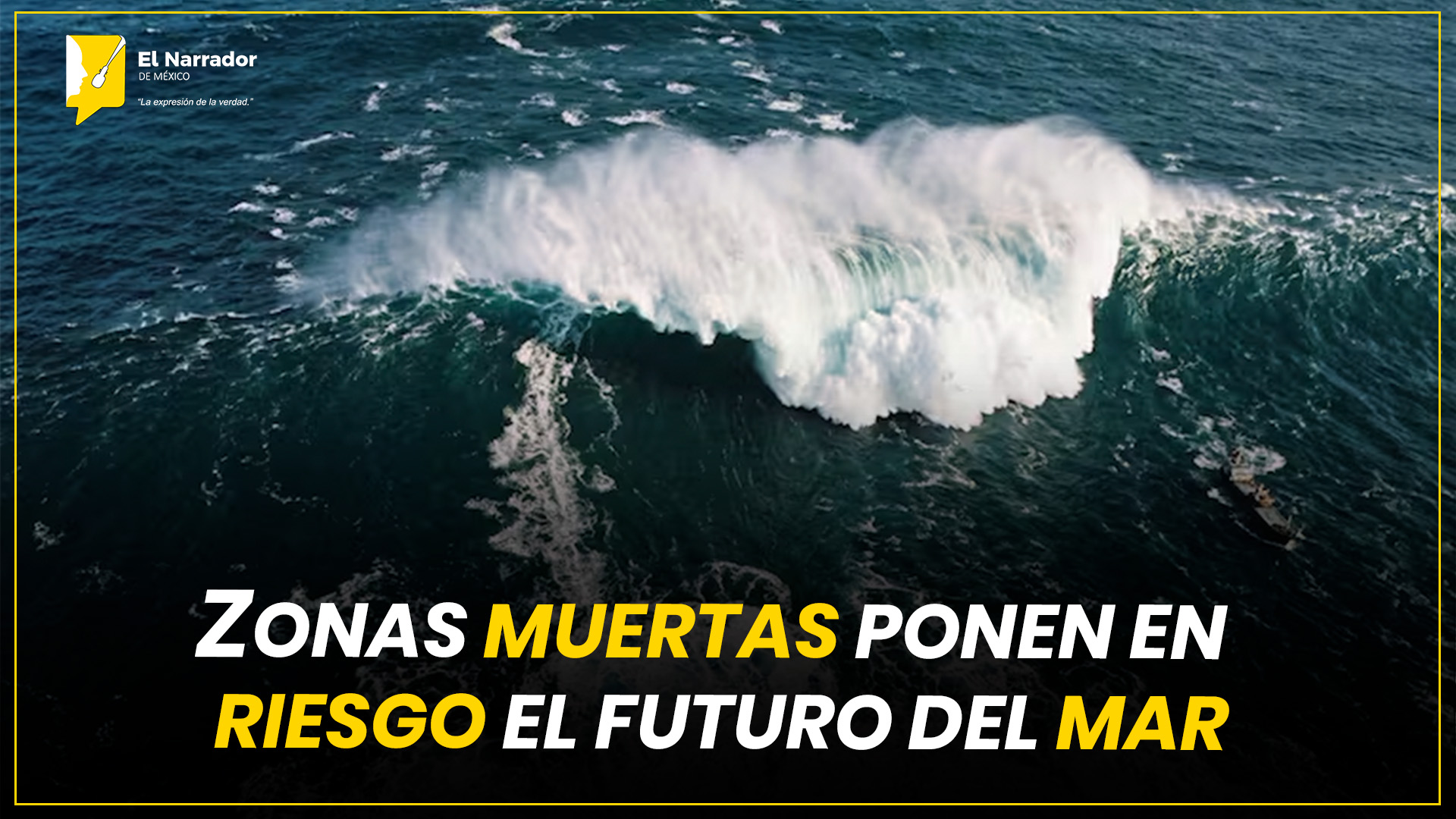 ZONAS MUERTAS PONEN EN RIESGO EL FUTURO DEL MAR BÁLTICO