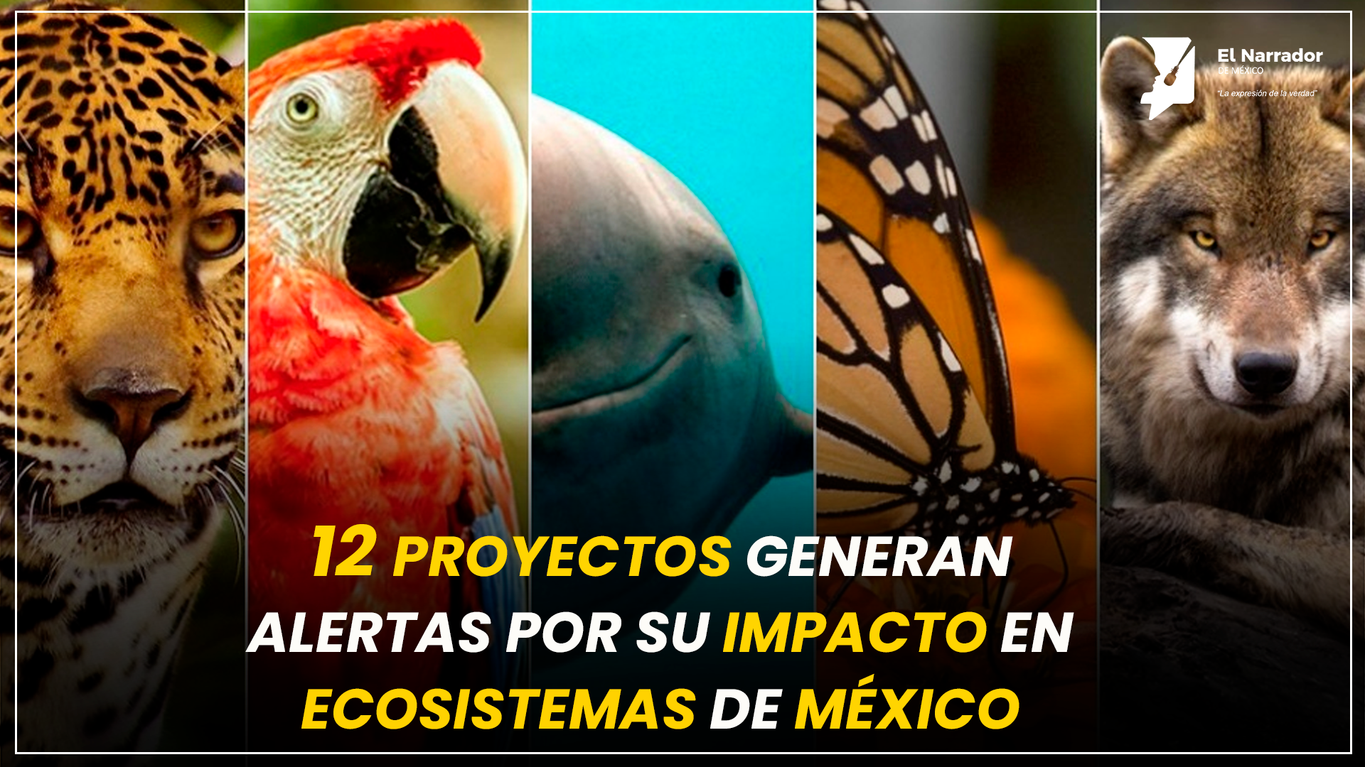 ALERTAN POR 12 PROYECTOS,PONEN EN RIESGO ECOSISTEMAS CLAVE EN MÉXICO