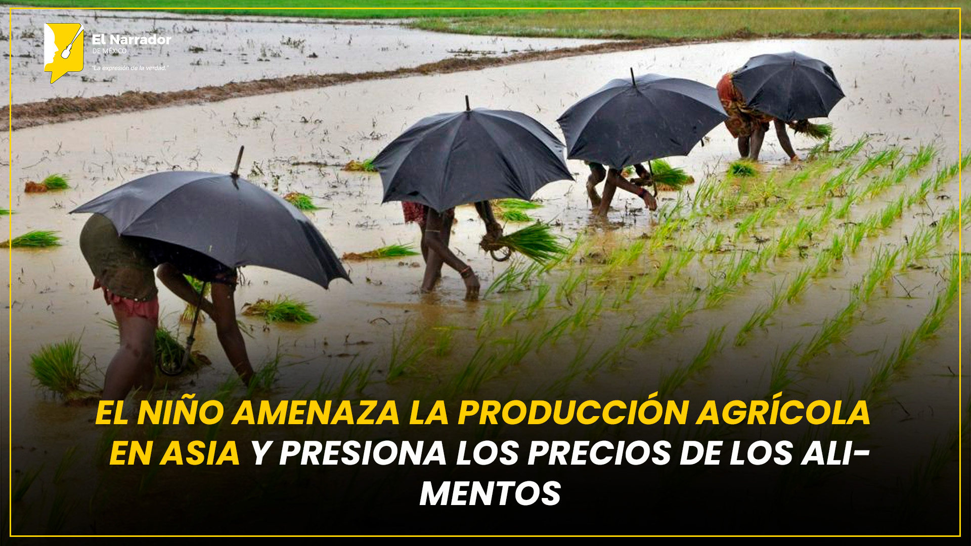EL NIÑO AMENAZA LA PRODUCCIÓN AGRÍCOLA EN ASIA