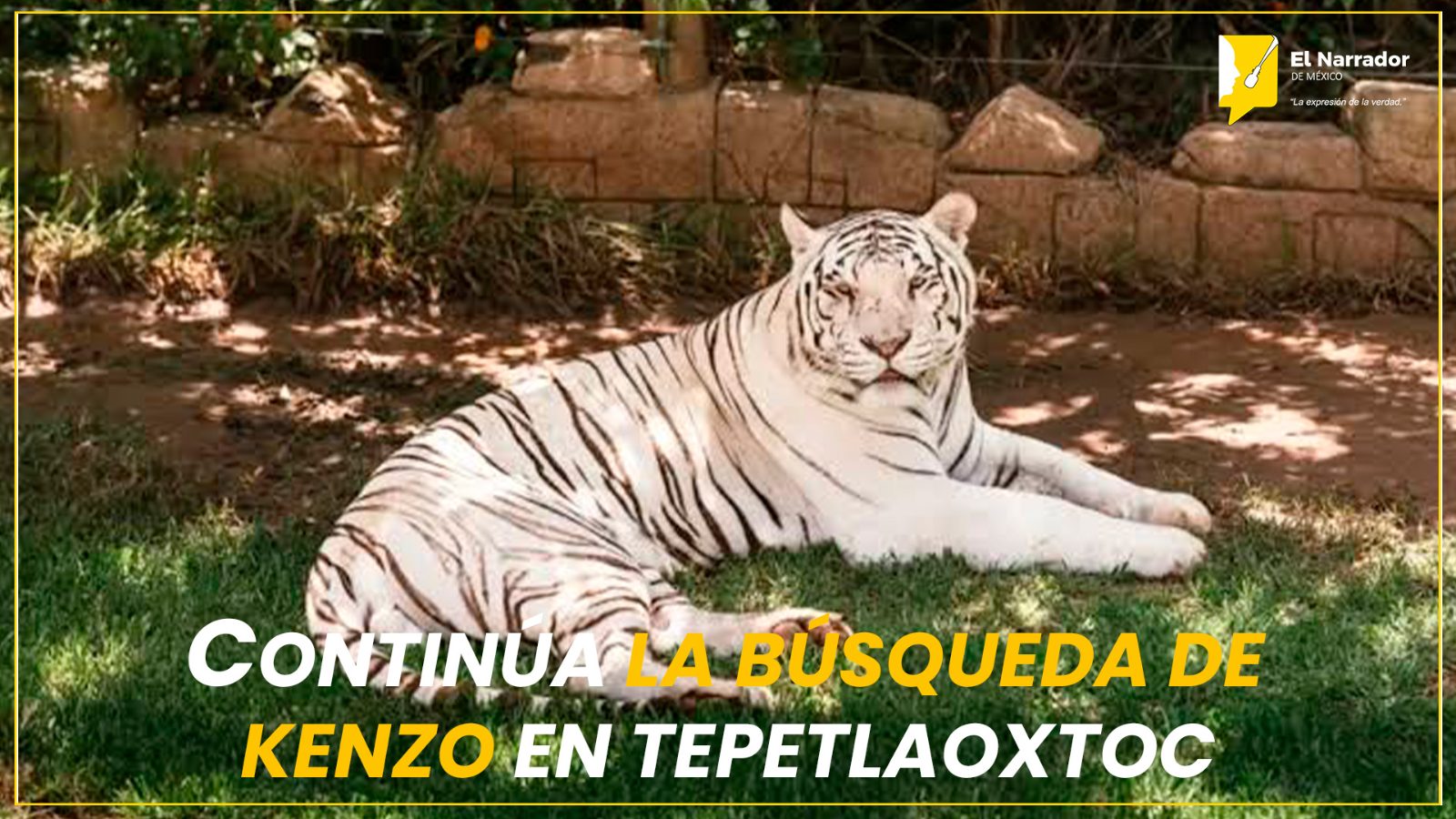 CONTINÚA LA BÚSQUEDA DE KENZO EN TEPETLAOXTOC