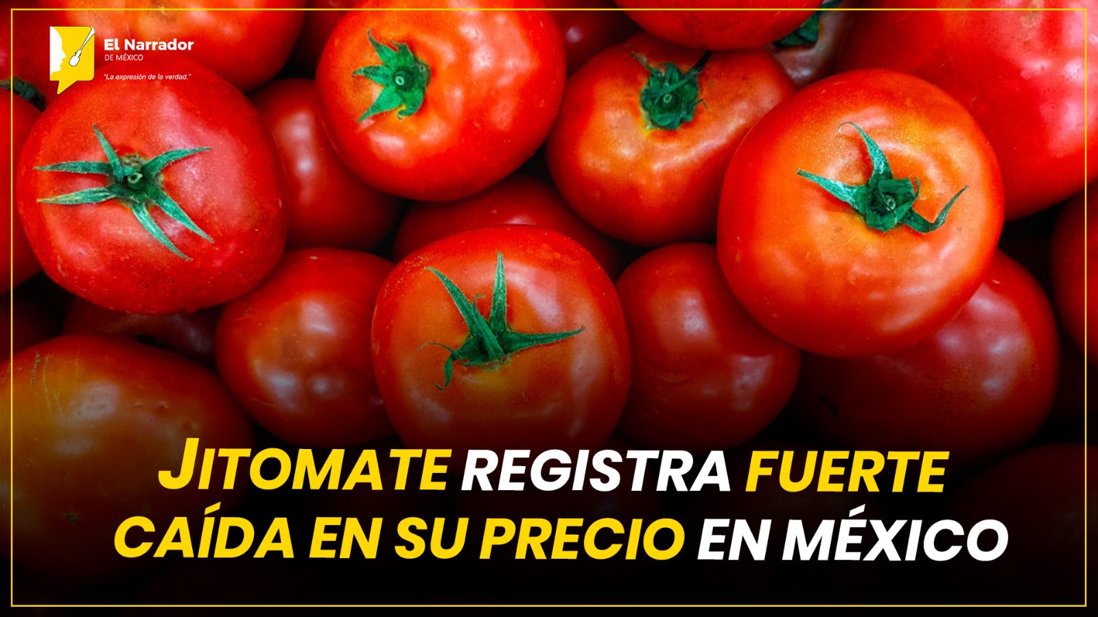 JITOMATE REGISTRA FUERTE CAÍDA EN SU PRECIO EN MÉXICO