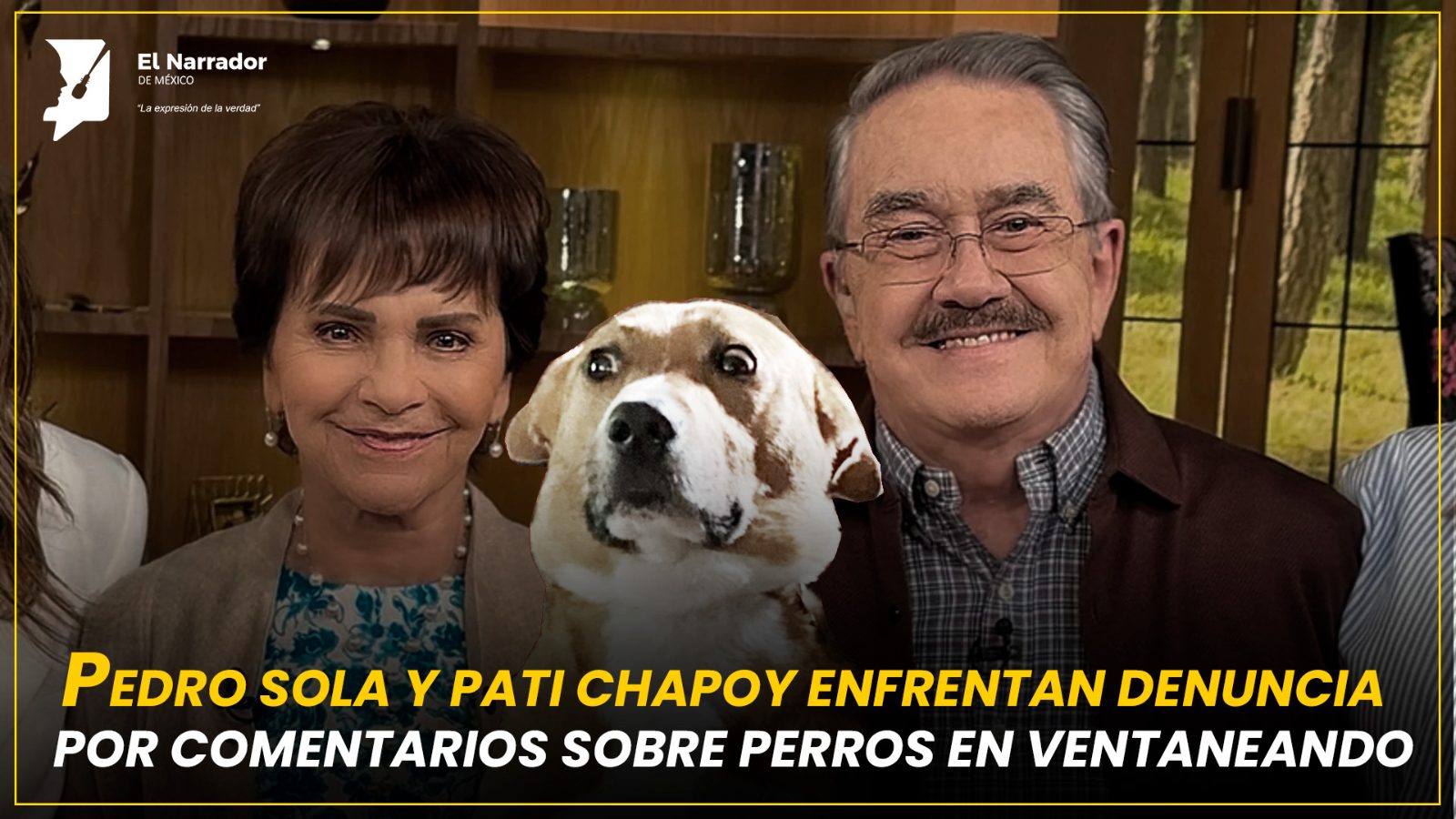 PEDRO SOLA Y PATI CHAPOY ENFRENTAN DENUNCIA POR COMENTARIOS SOBRE PERROS