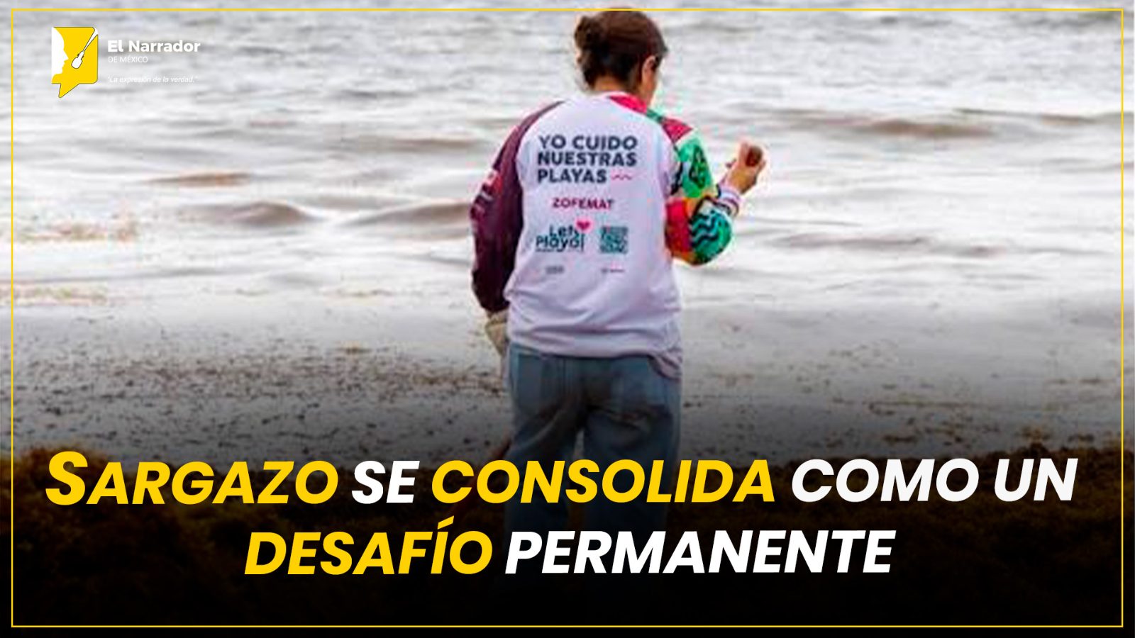 SARGAZO SE CONSOLIDA COMO UN DESAFÍO PERMANENTE