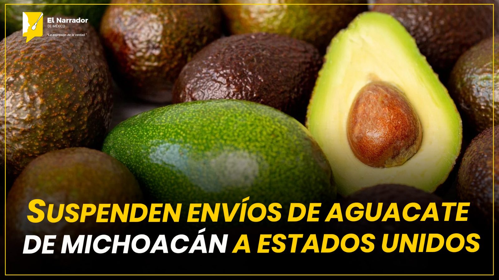 SUSPENDEN ENVÍOS DE AGUACATE DE MICHOACÁN A ESTADOS UNIDOS