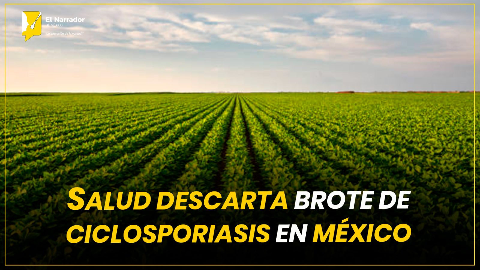SALUD DESCARTA BROTE DE CICLOSPORIASIS EN MÉXICO
