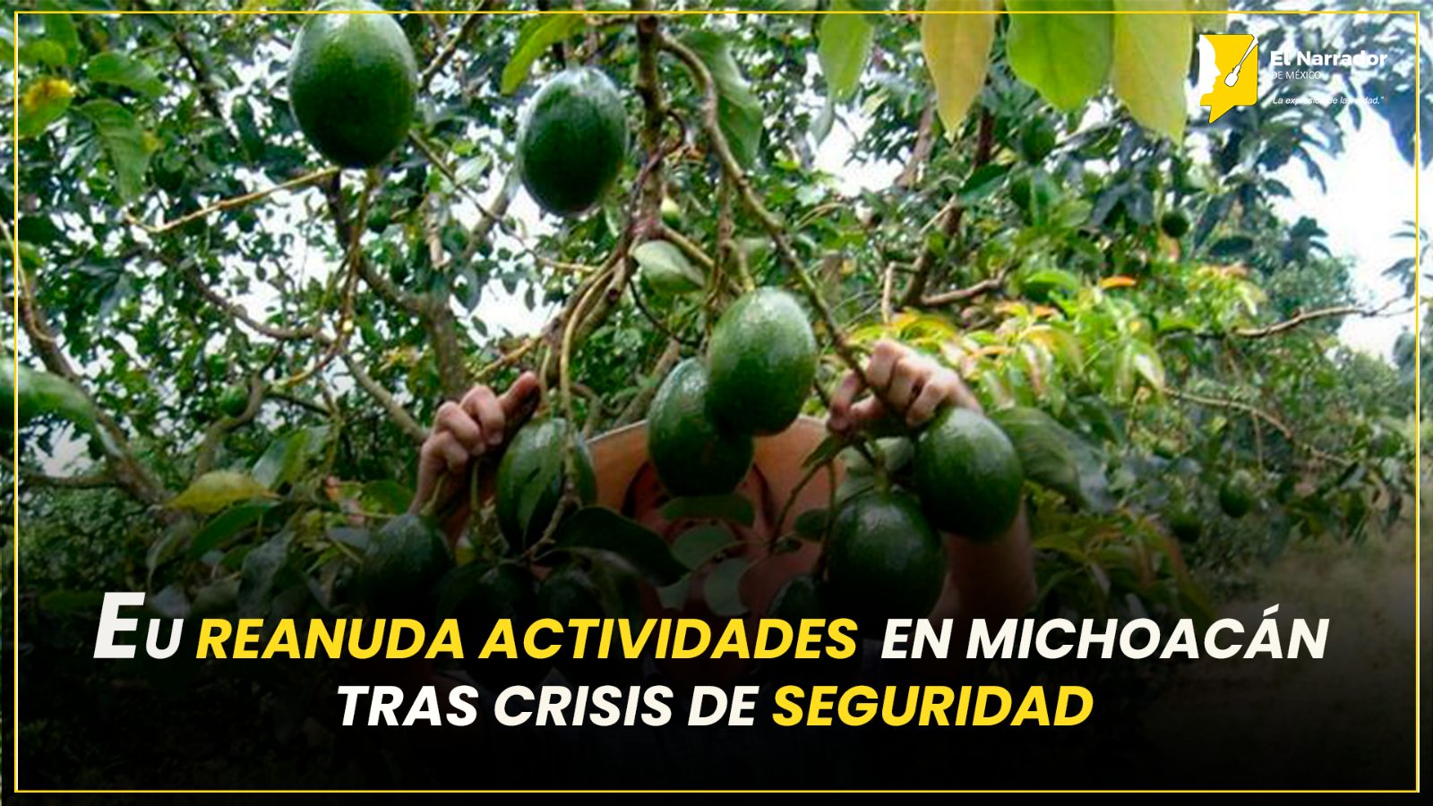 EU REANUDA ACTIVIDADES EN MICHOACÁN TRAS CRISIS DE SEGURIDAD