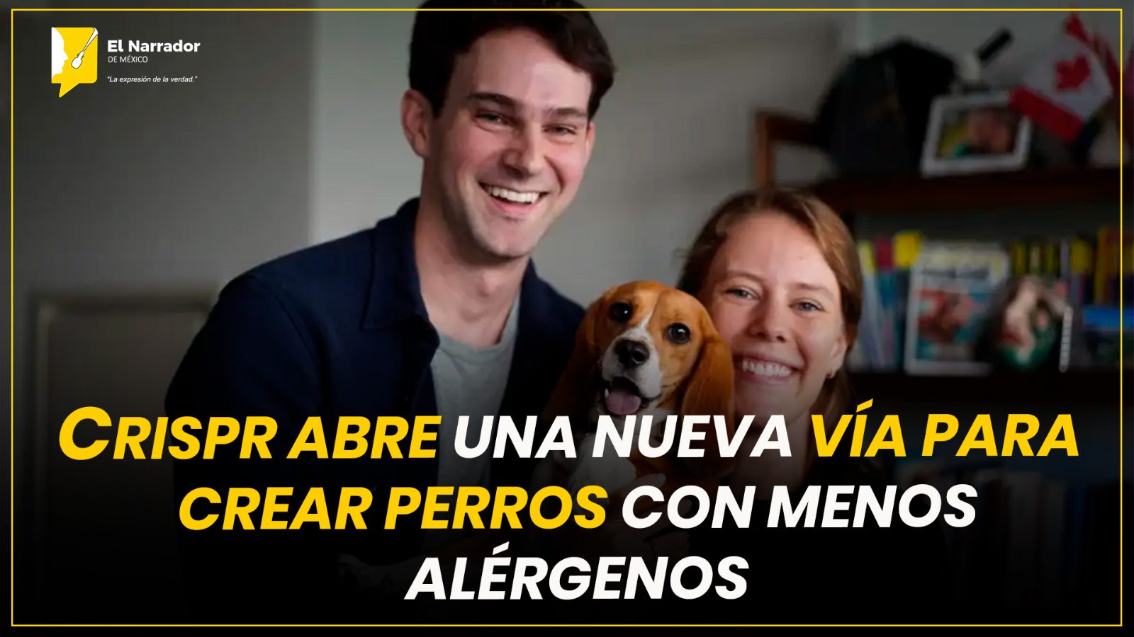 CRISPR ABRE UNA NUEVA VÍA PARA CREAR PERROS CON MENOS ALÉRGENOS