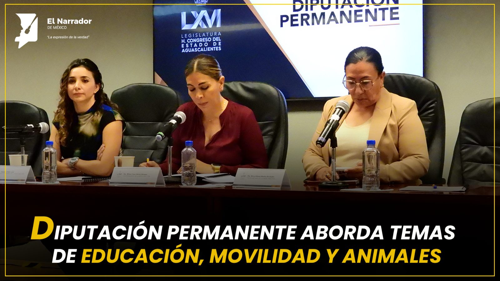 DIPUTACIÓN PERMANENTE ABORDA TEMAS DE EDUCACIÓN, MOVILIDAD Y ANIMALES