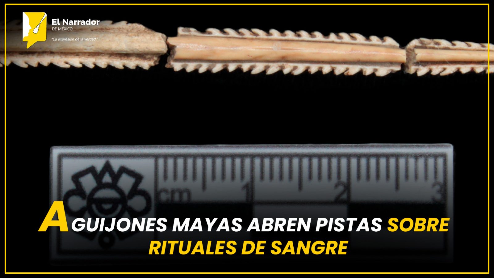 AGUIJONES MAYAS ABREN PISTAS SOBRE RITUALES DE SANGRE