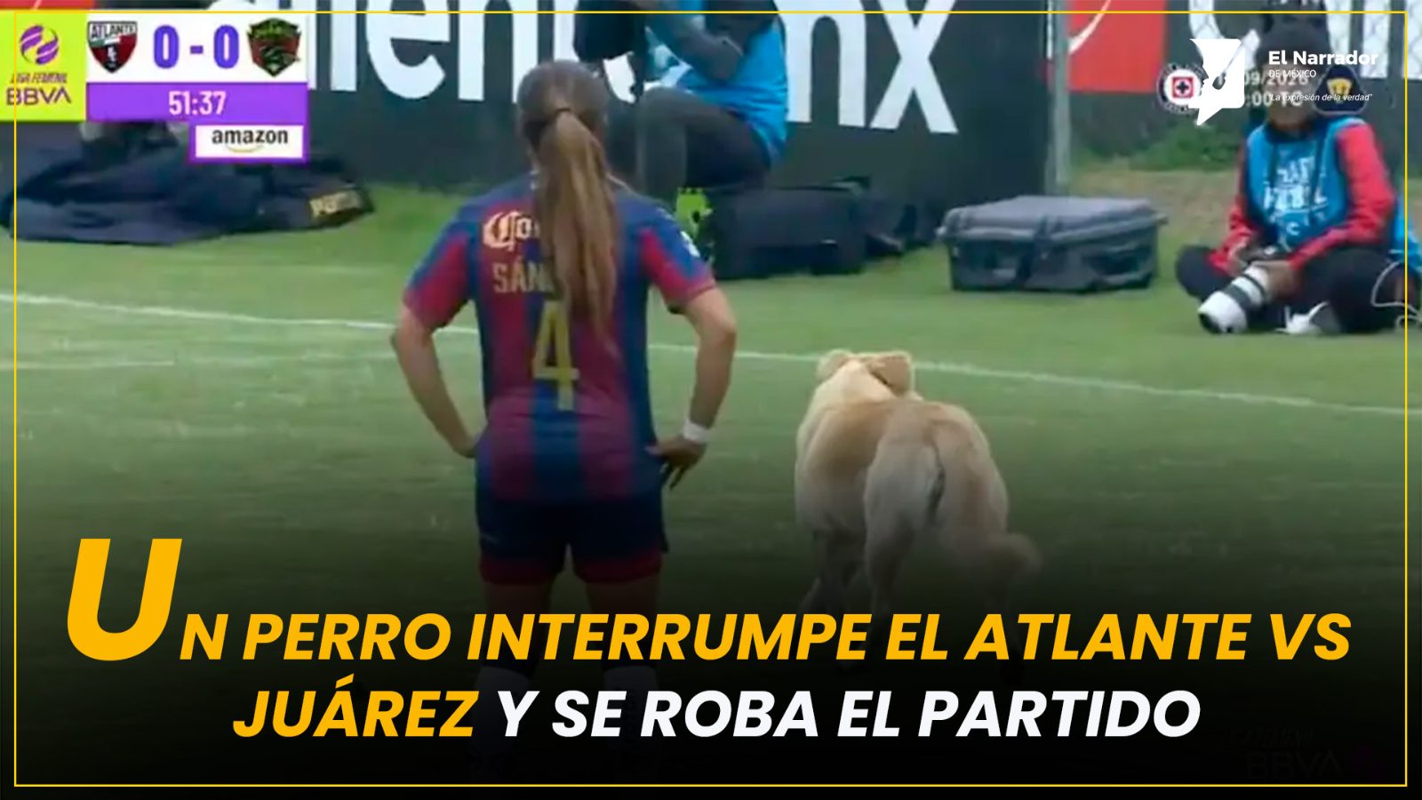 UN PERRO INTERRUMPE EL ATLANTE VS. JUÁREZ Y SE ROBA EL PARTIDO
